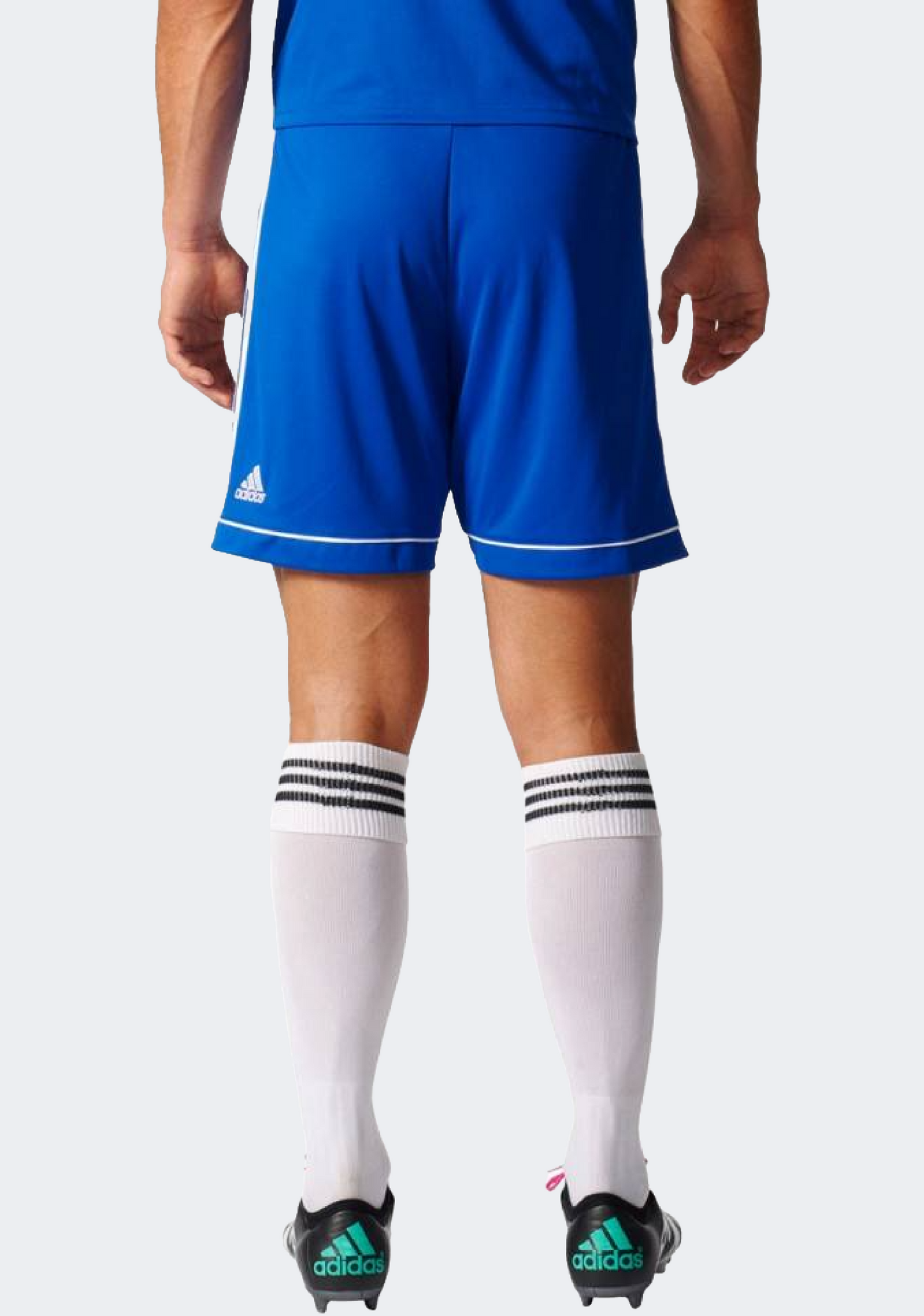 Adidas Men's Squad 17 Shorts