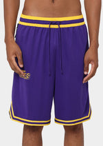Nike Mens Dri-FIT NBA Shorts Purple/Yellow <br> DN4714-504
