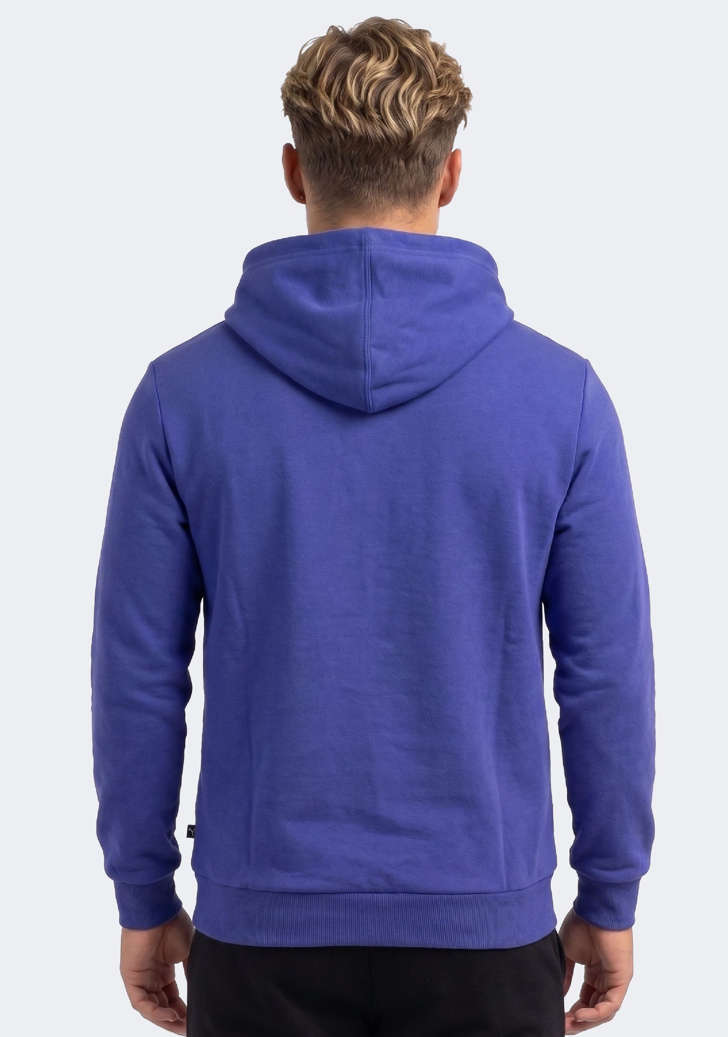 Puma Men's Essentials+ Two Tone Big Logo Hoodie