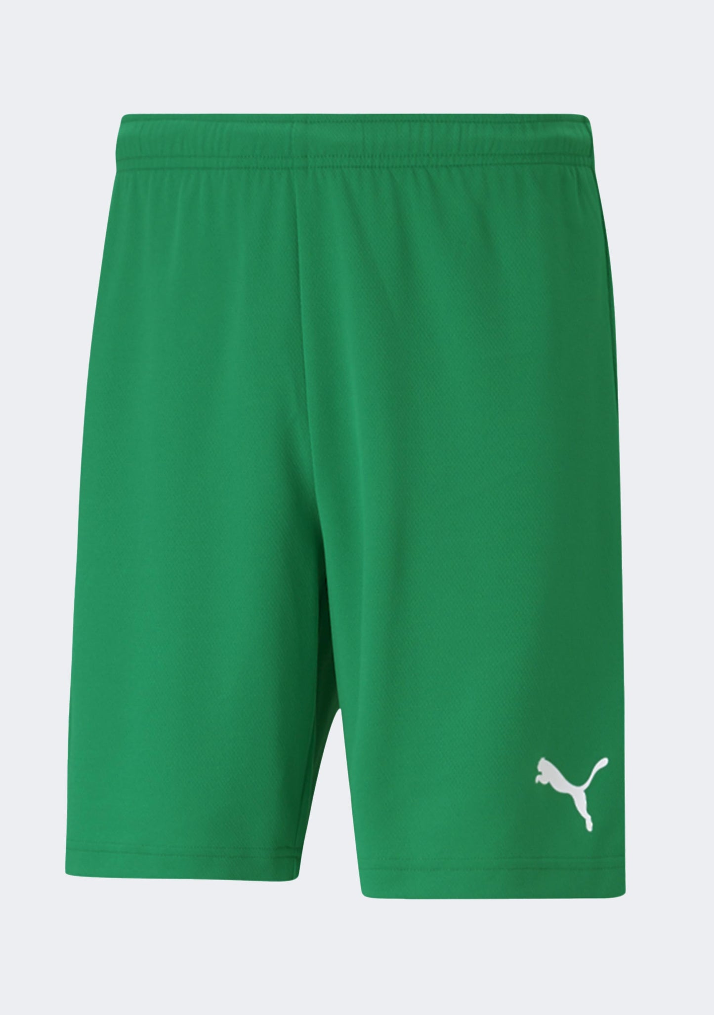 Puma Men's TeamRISE Shorts