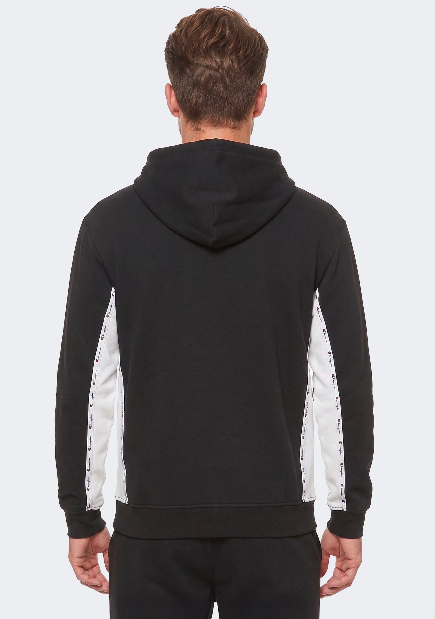 Champion Men's Rochester Tech Hoodie