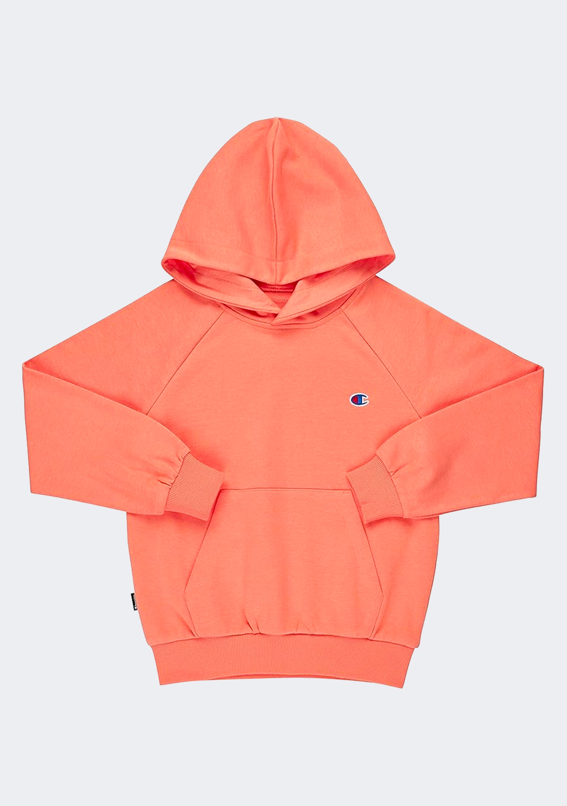 Champion Kids' French Terry Script Hoodie