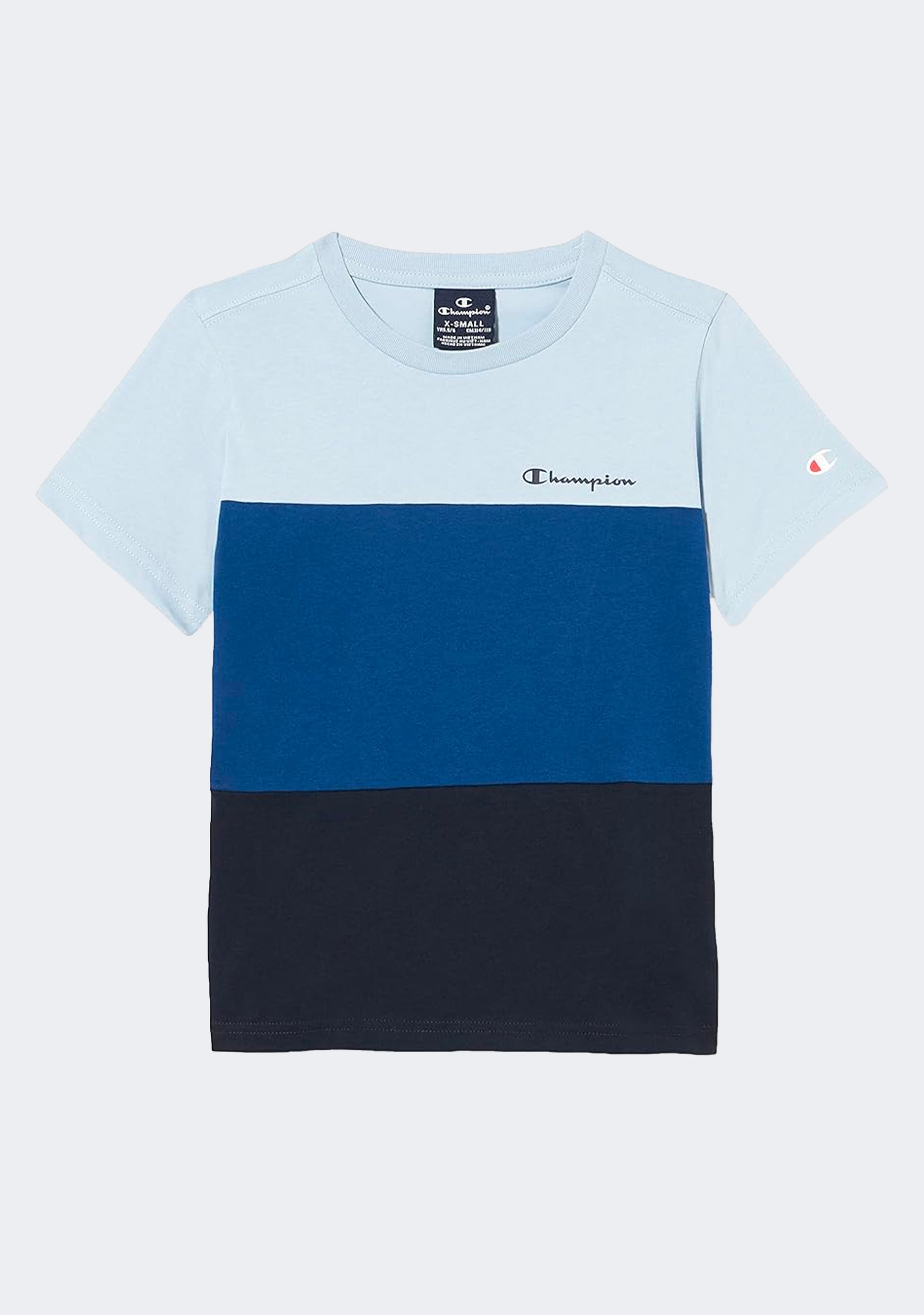 Champion Men's EU Rochester Colourmix Tee