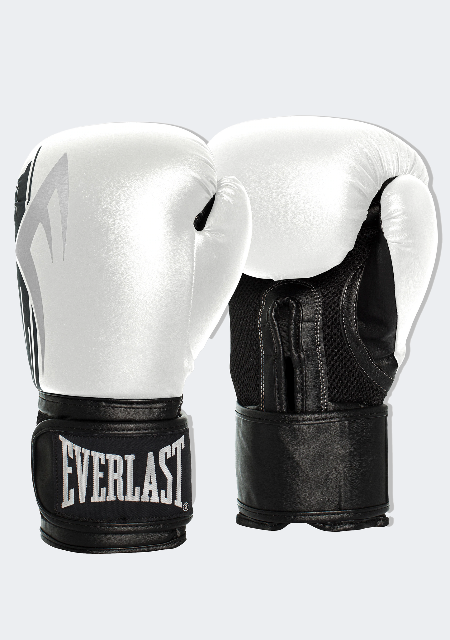 Everlast Pro Style Power Boxing Glove