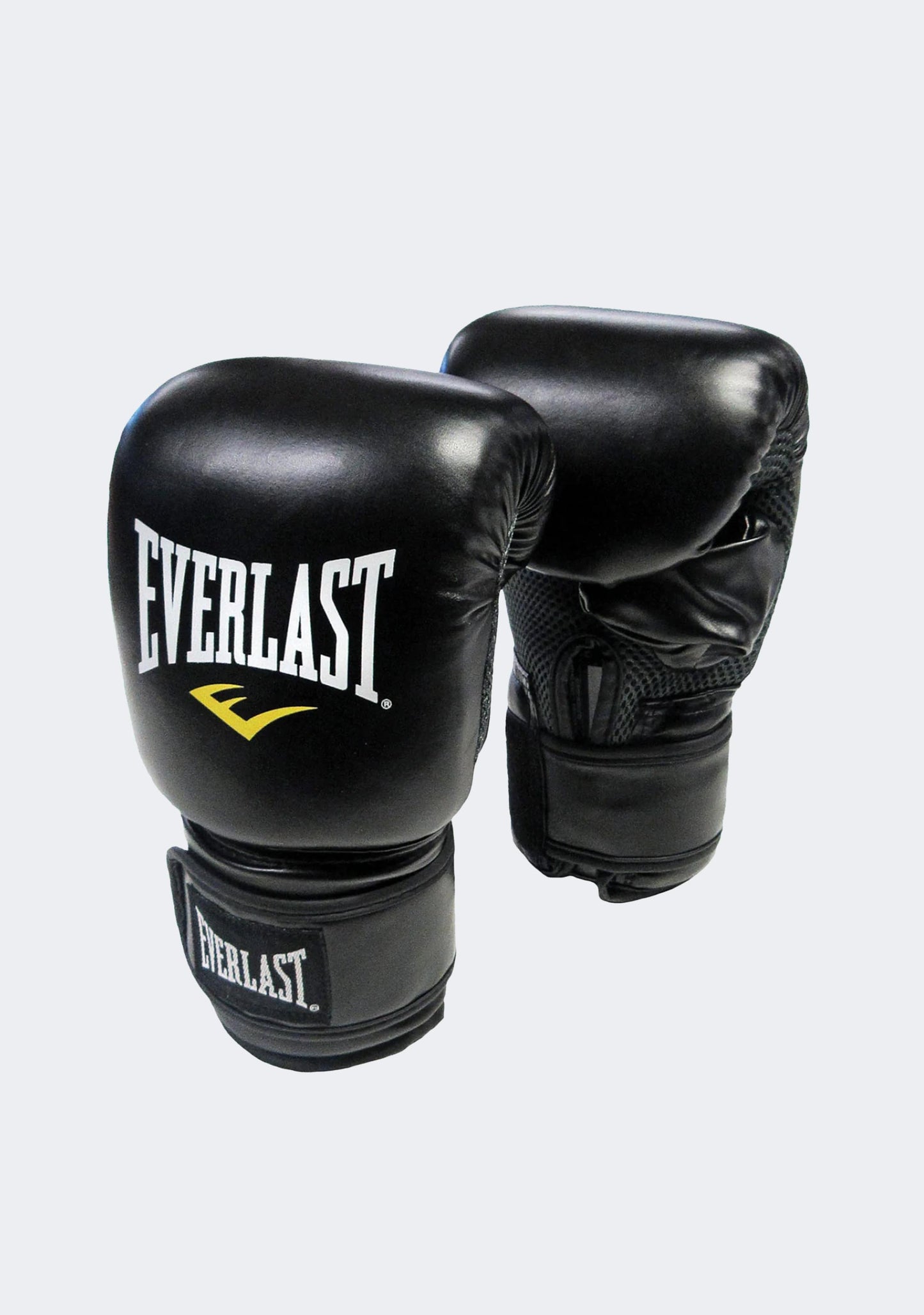 Everlast Punch Bag & Fitness Accessories