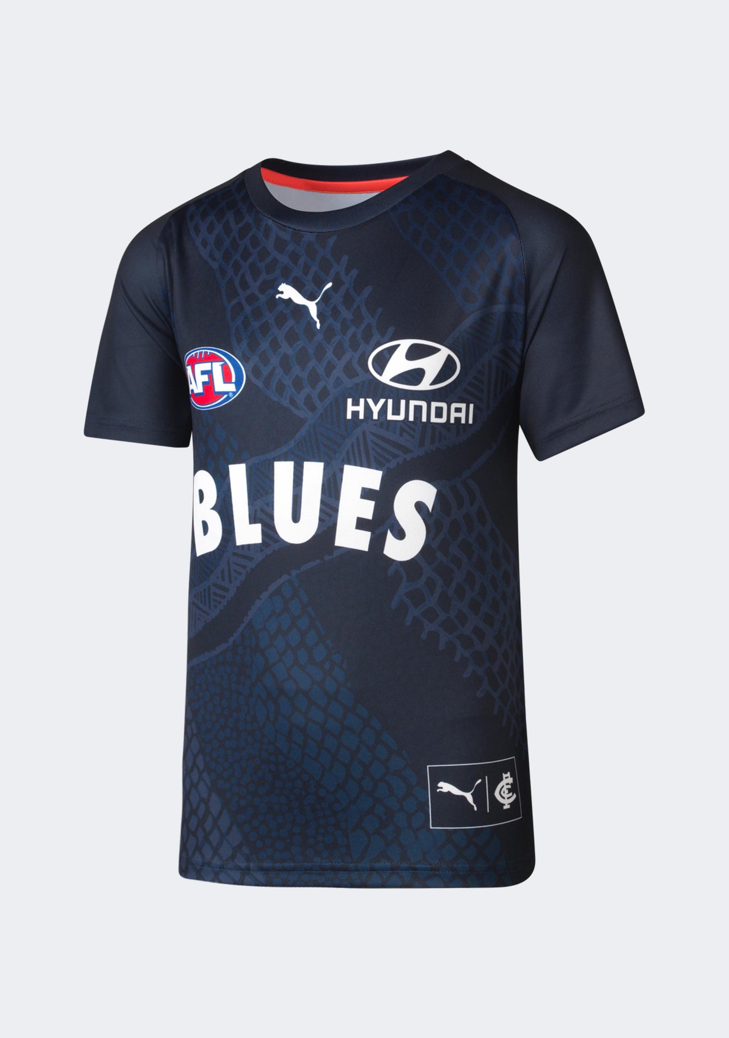 Puma Kids' Carlton FC 2024 Warm Up Top