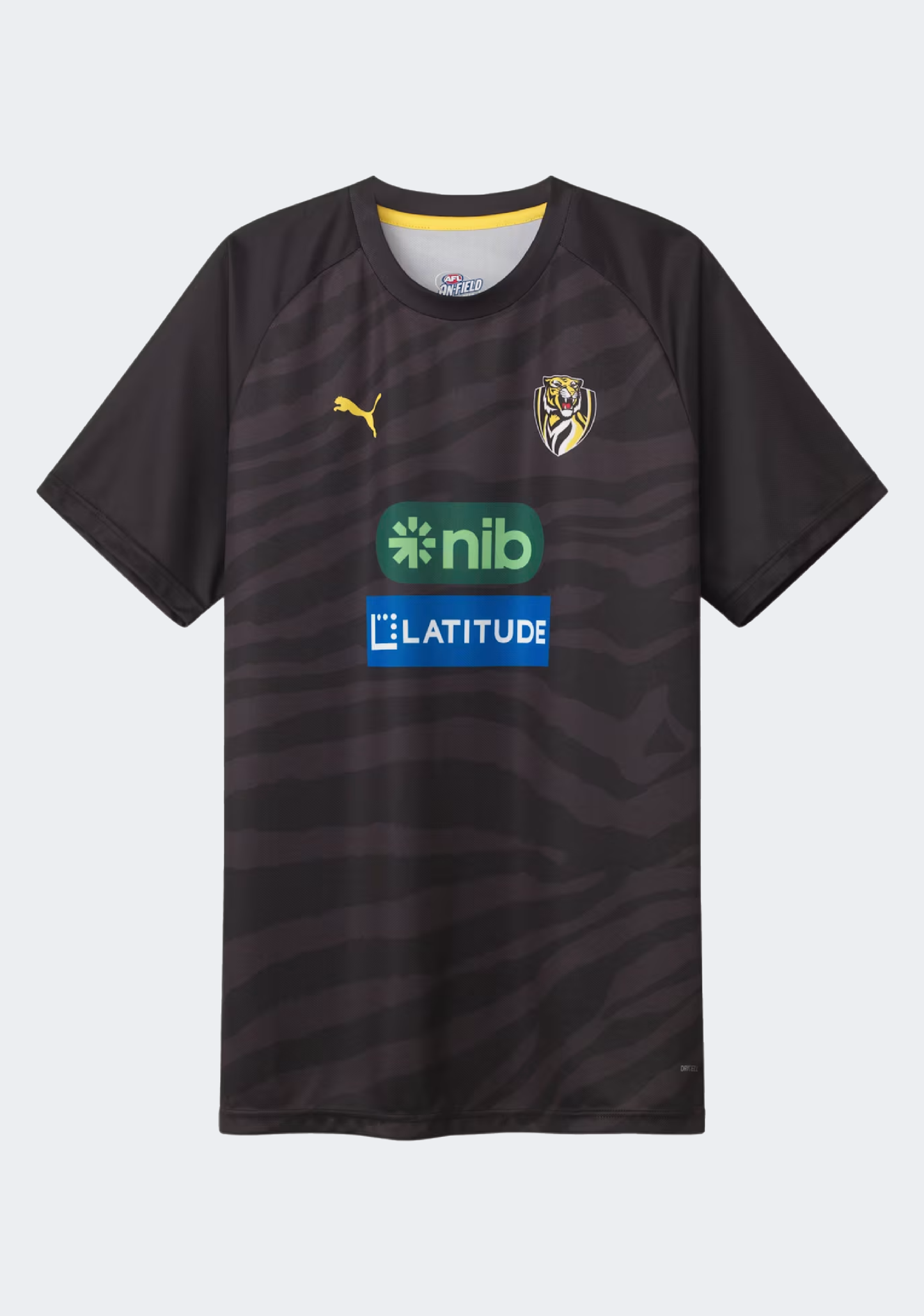 Puma Men's Richmond FC 2024 Replica Training Tee