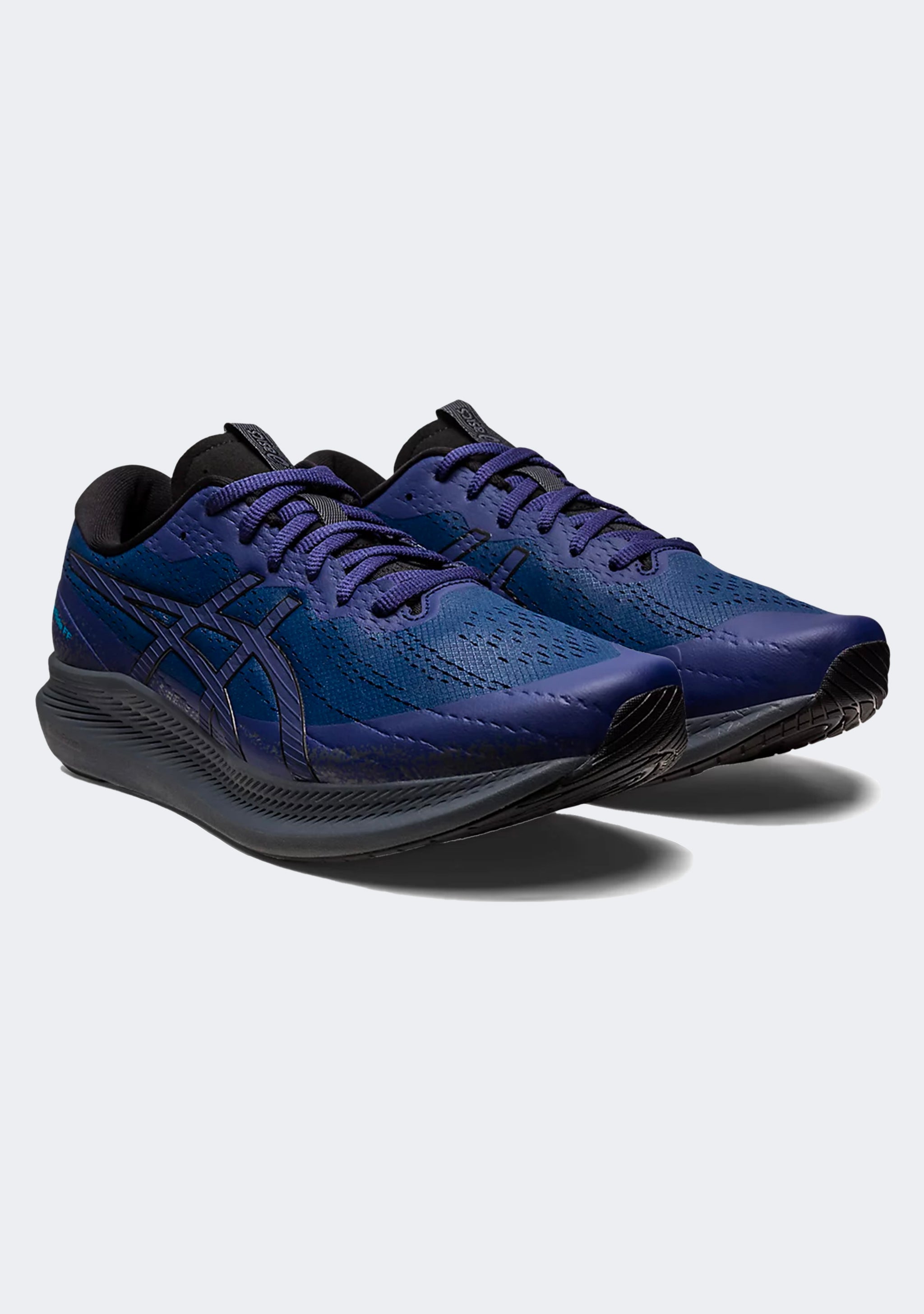 Asics Men's Walkride FF