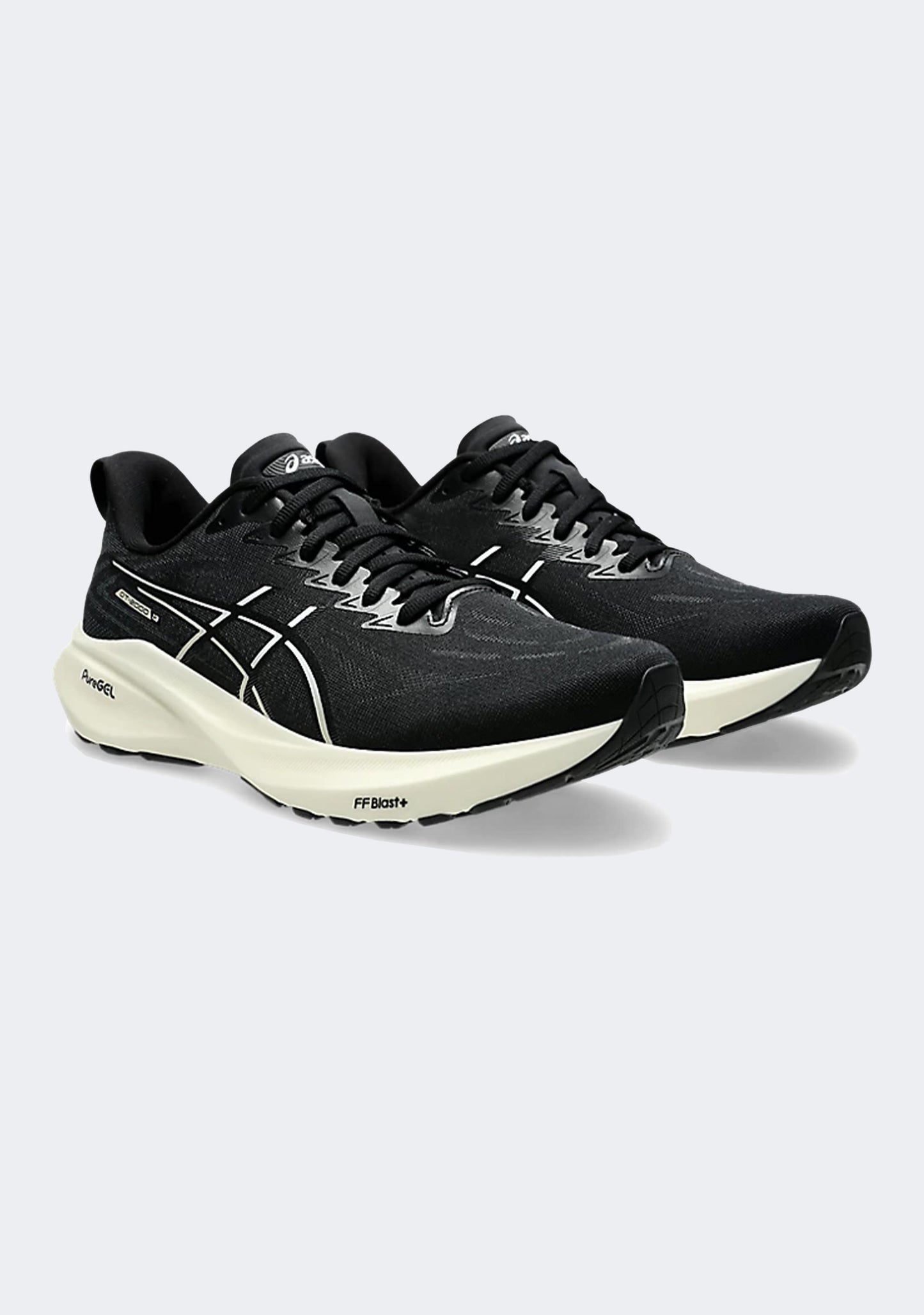Asics Men's GT 2000 13