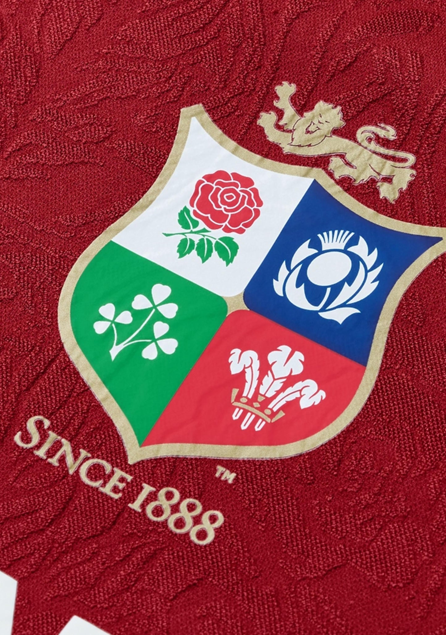 Canterbury Kids' British & Irish Lions Replica Jersey