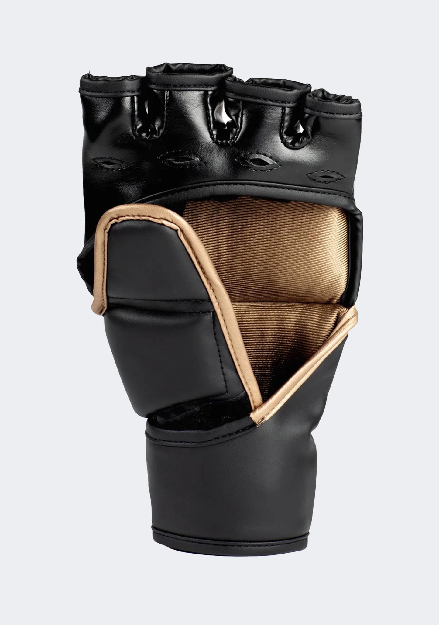 Everlast Titan MMA Grappling Gloves