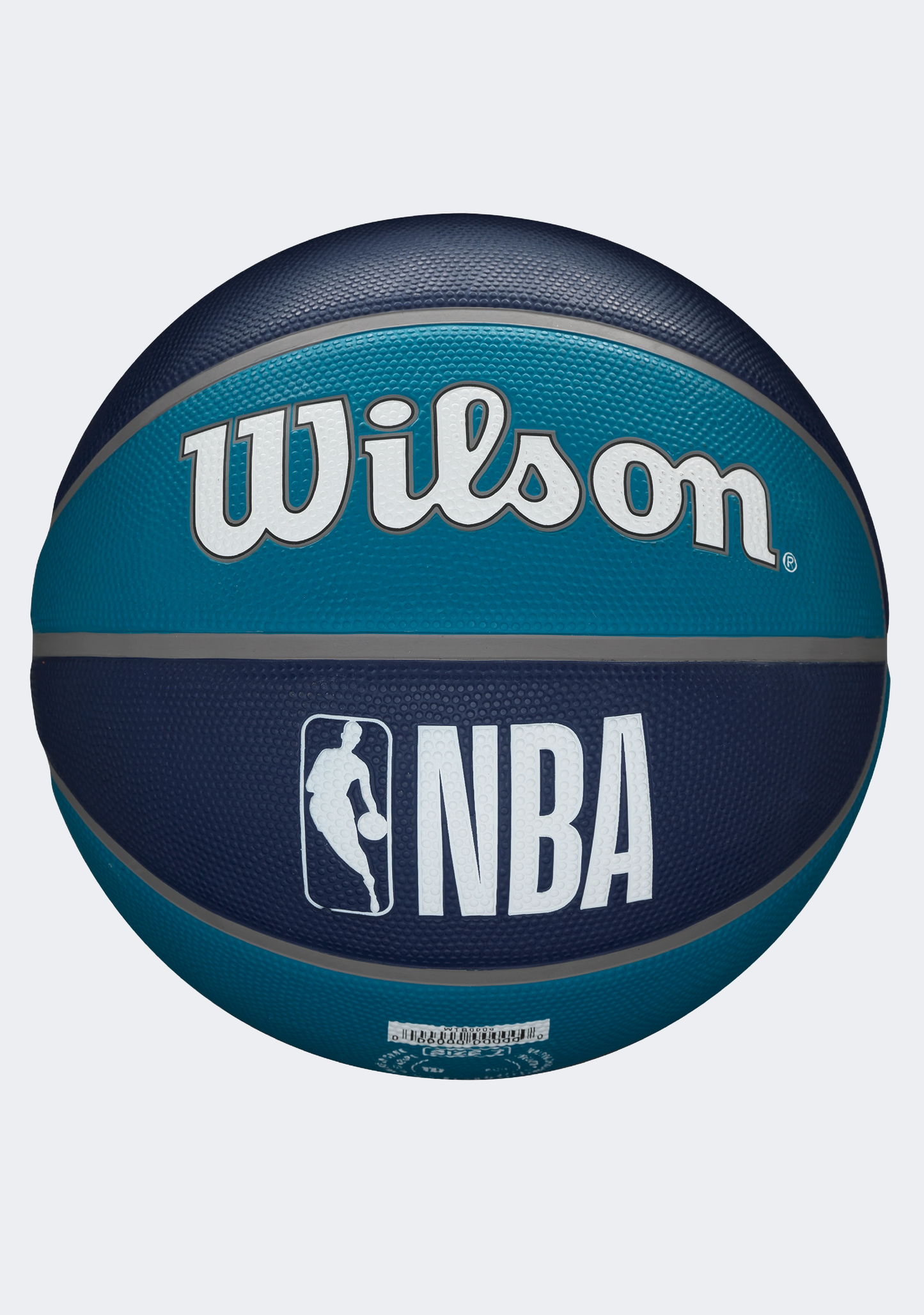 Wilson NBA Team Tribute Basketball Charlotte Hornets