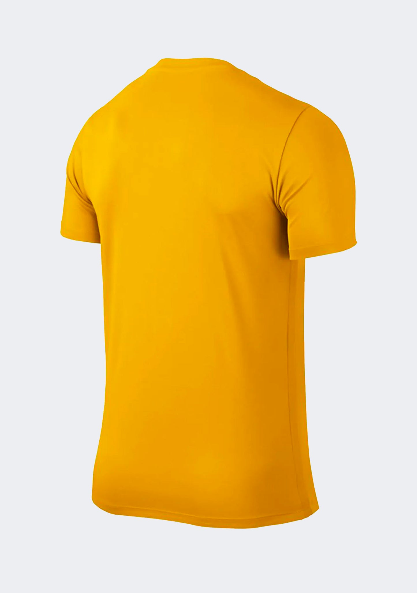 Nike Youth Park 6 Jersey Gold