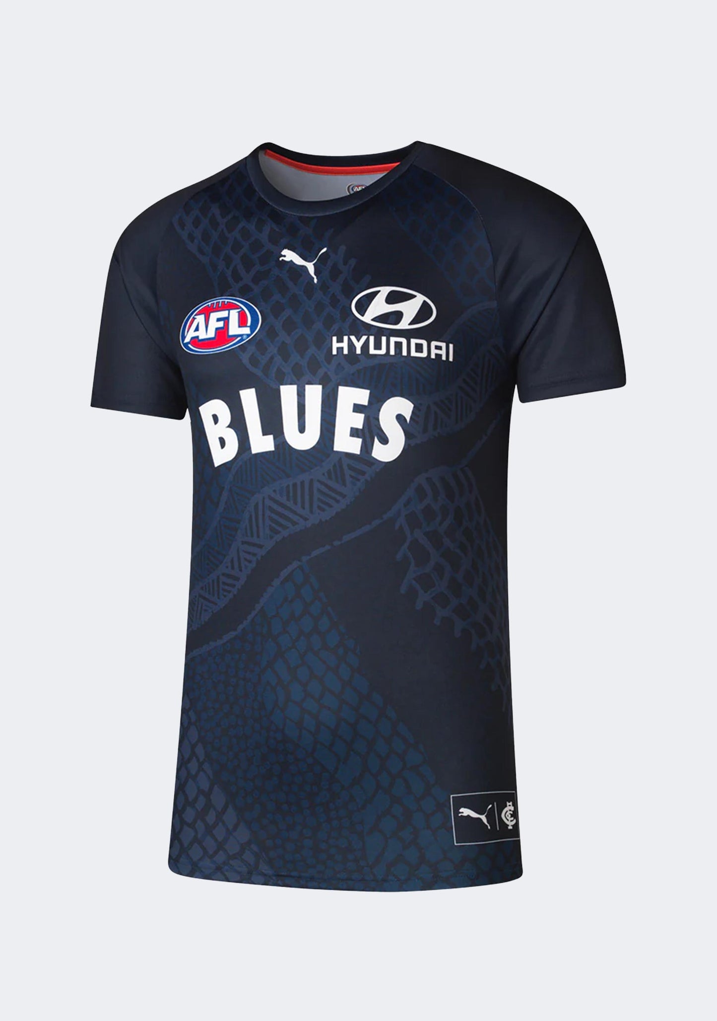 Puma Men's Carlton FC 2024 Replica Warm Up Top