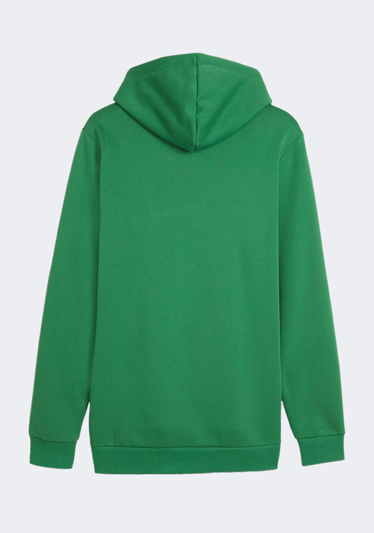 Puma Men's Essentials+ Two-Tone Big Logo Hoodie Green
