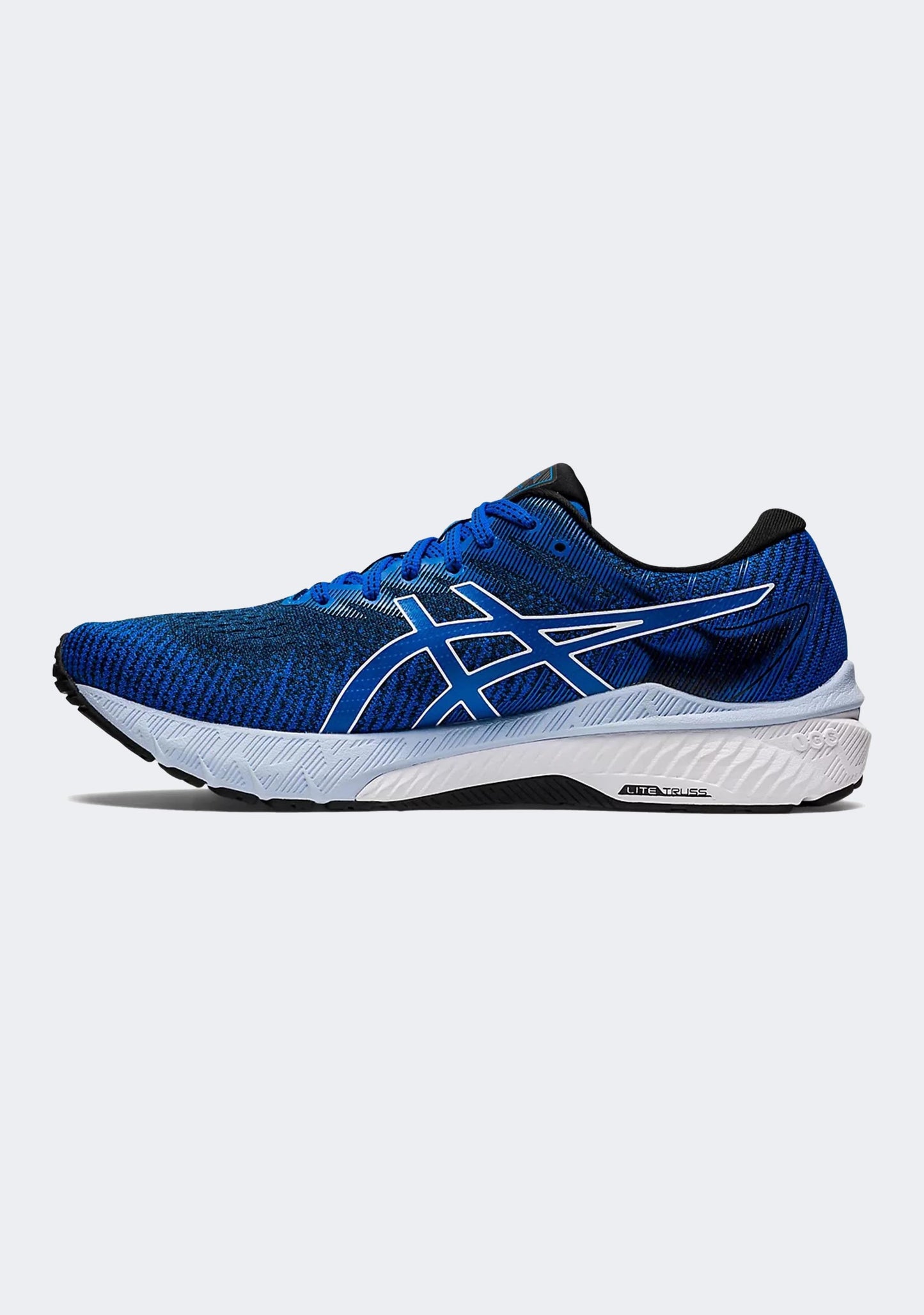 Asics Men's GT-2000 10