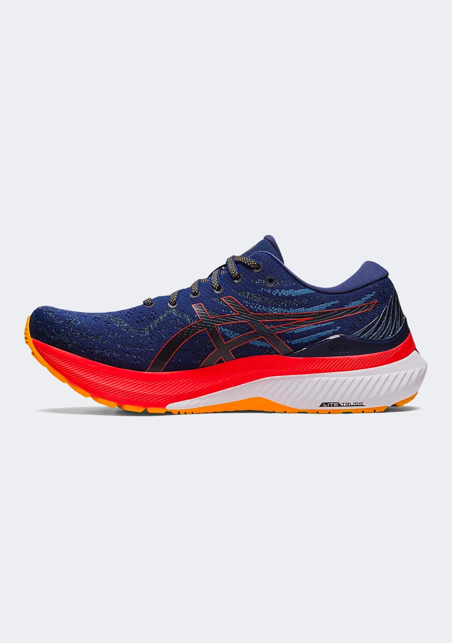 Asics Men's Gel Kayano 29