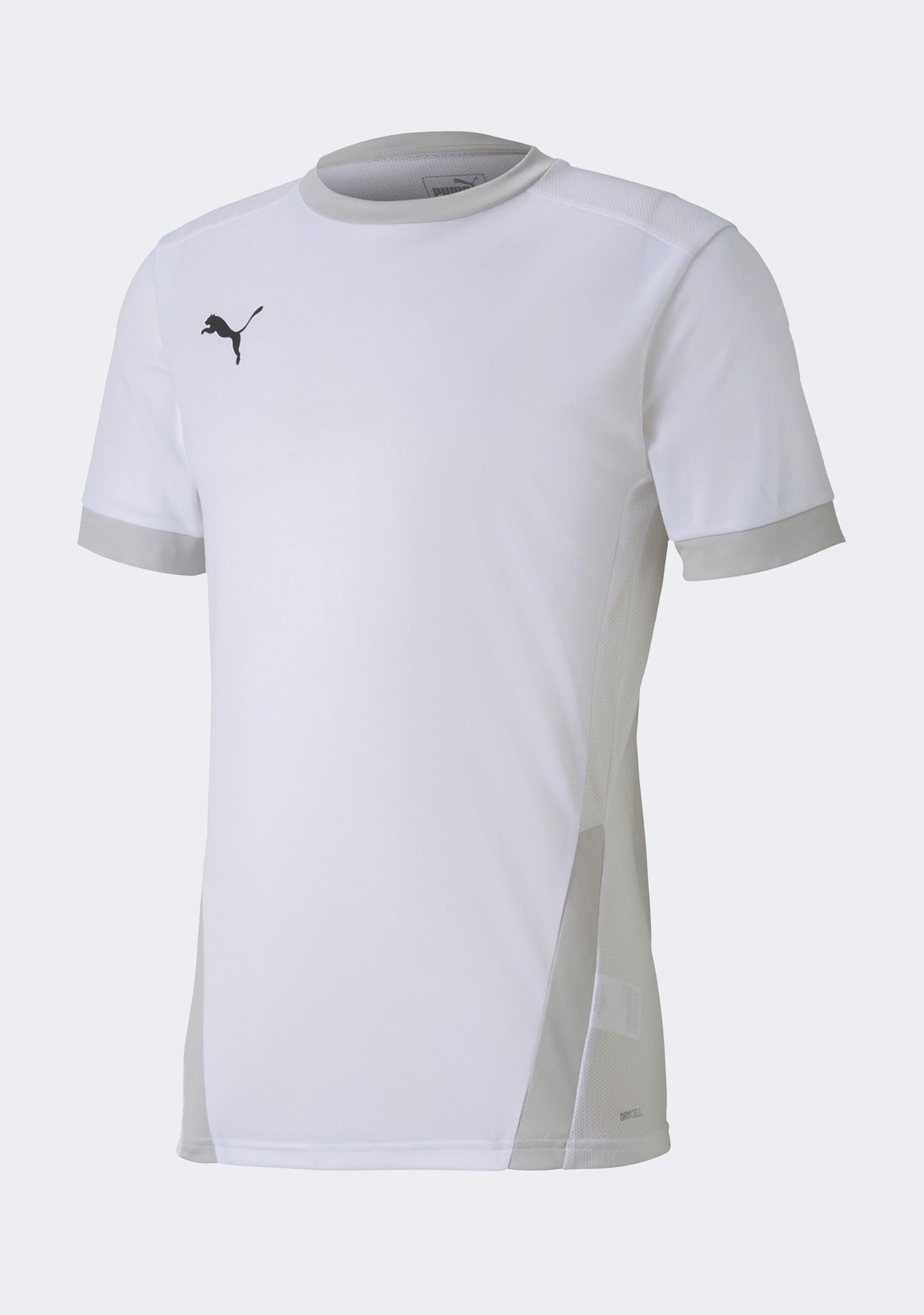 Puma Men's TeamGOAL 23 Jersey