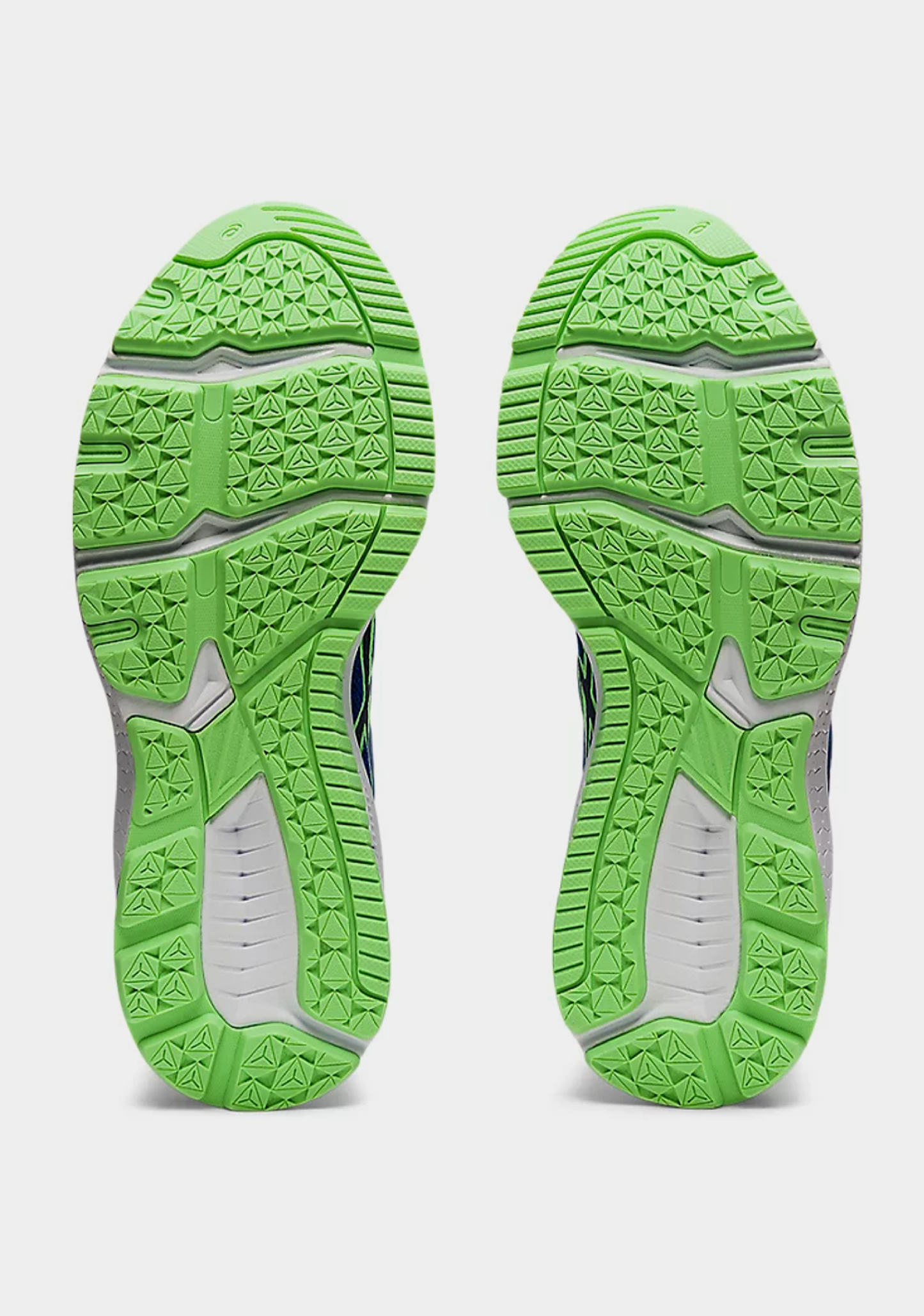 Asics Junior GT-1000 10 GS
