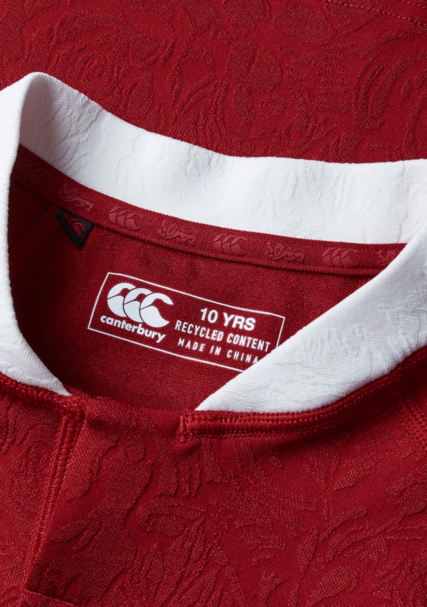 Canterbury Kids' British & Irish Lions Replica Jersey