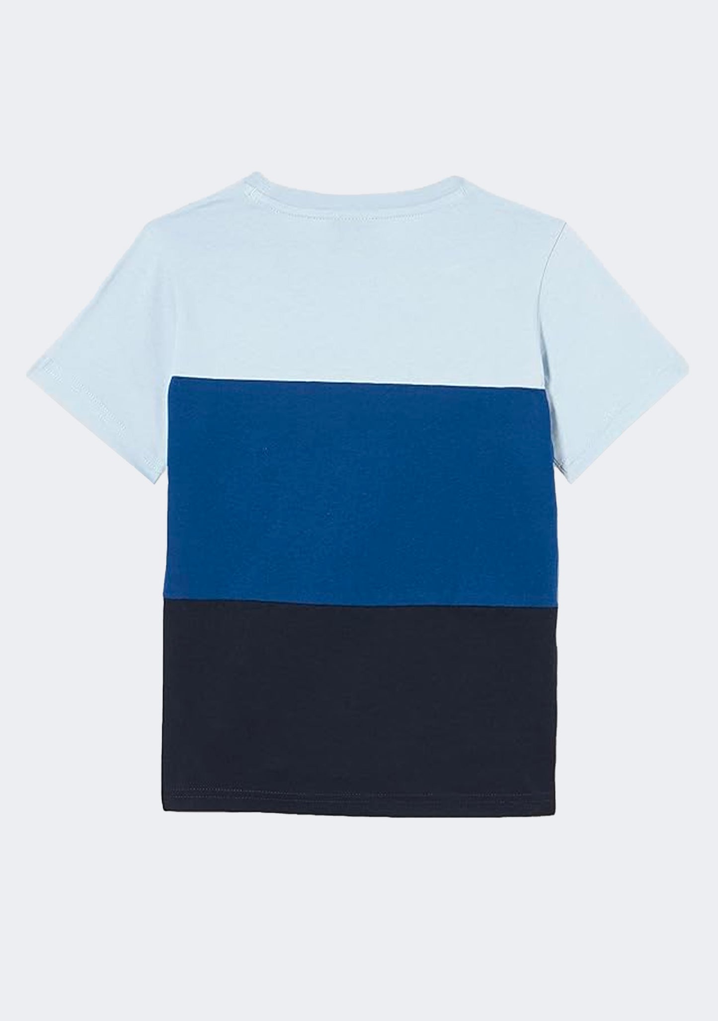 Champion Men's EU Rochester Colourmix Tee