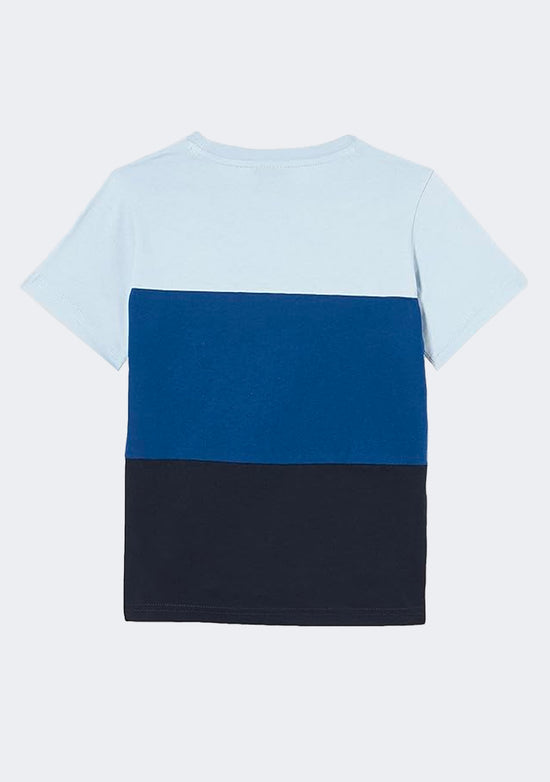 Champion Men's EU Rochester Colourmix Tee