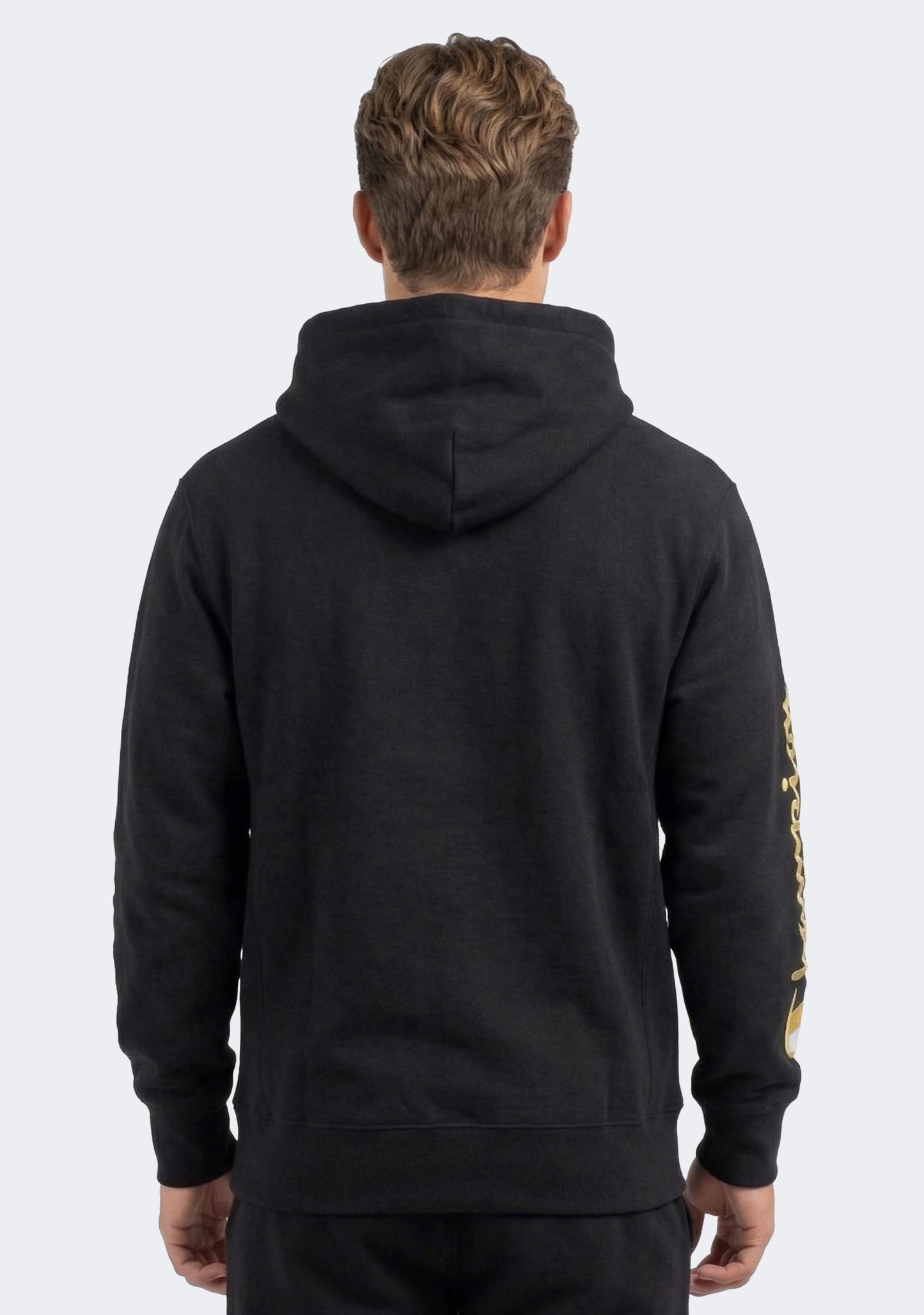 Champion Men's Reverse Weave Multi Script Hoodie