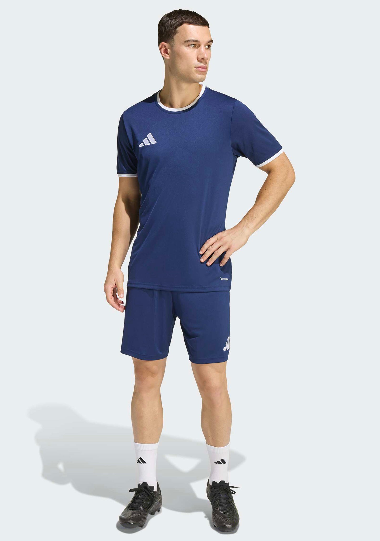 Adidas Men's Entrada 26 Shorts Navy