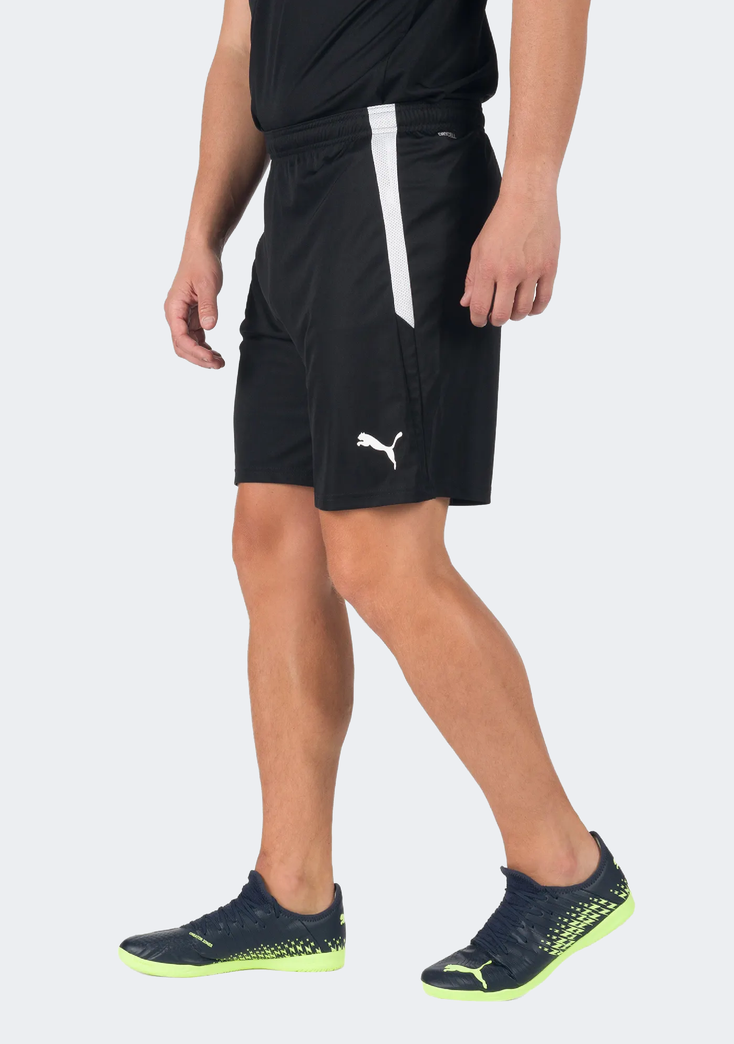 Puma Men's Team Liga Shorts