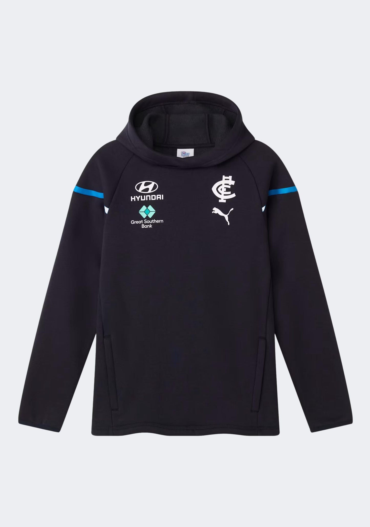 Puma Kids' Carlton FC 2024 Team Hoodie