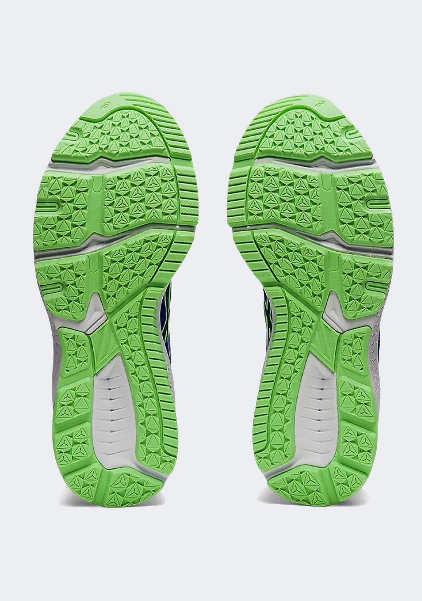 Asics Junior GT-1000 10 GS