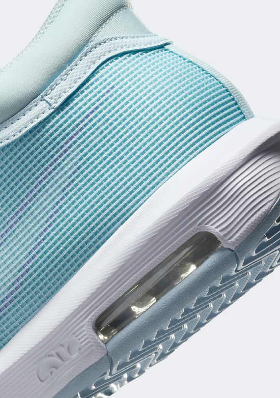 Nike Men's Lebron Witness VIII