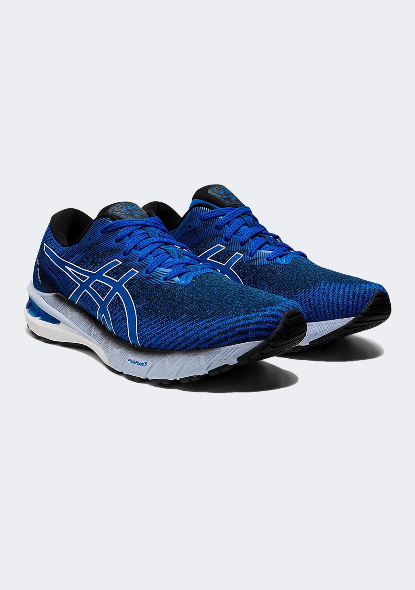 Asics Men's GT-2000 10