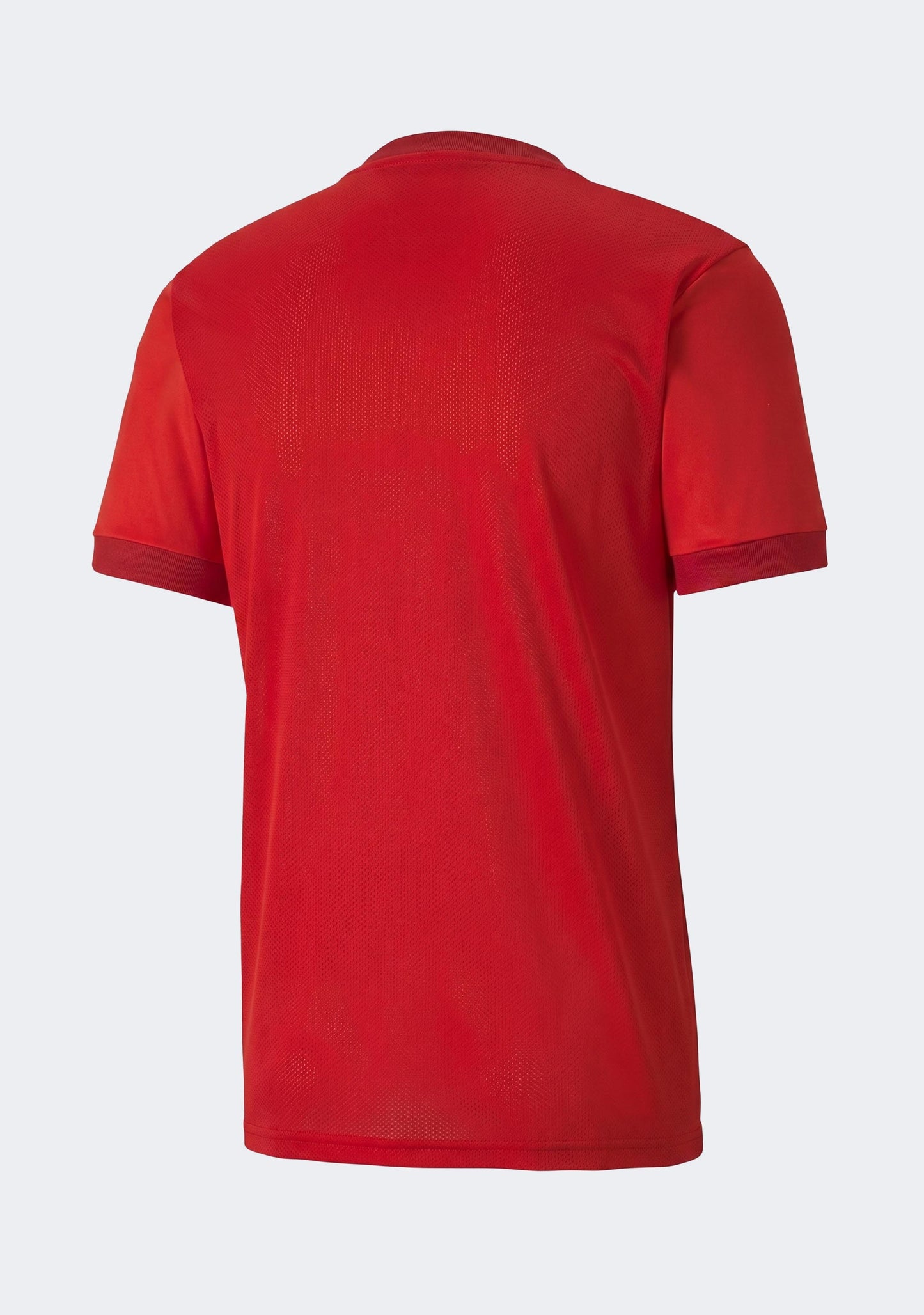 Puma Men's TeamGOAL 23 Jersey
