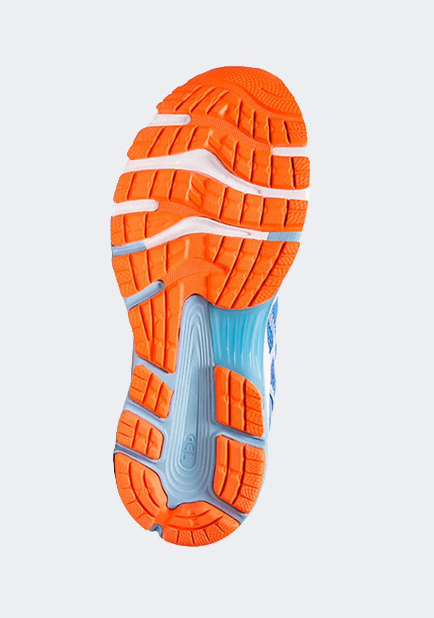 Asics Women's Gel Nimbus 21