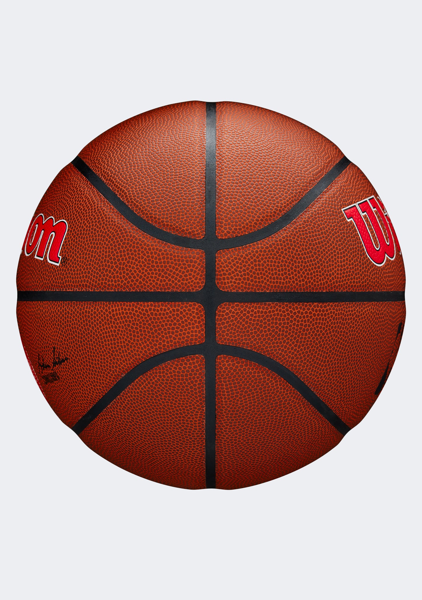 Wilson NBA Team Alliance Basketball Atlanta Hawks