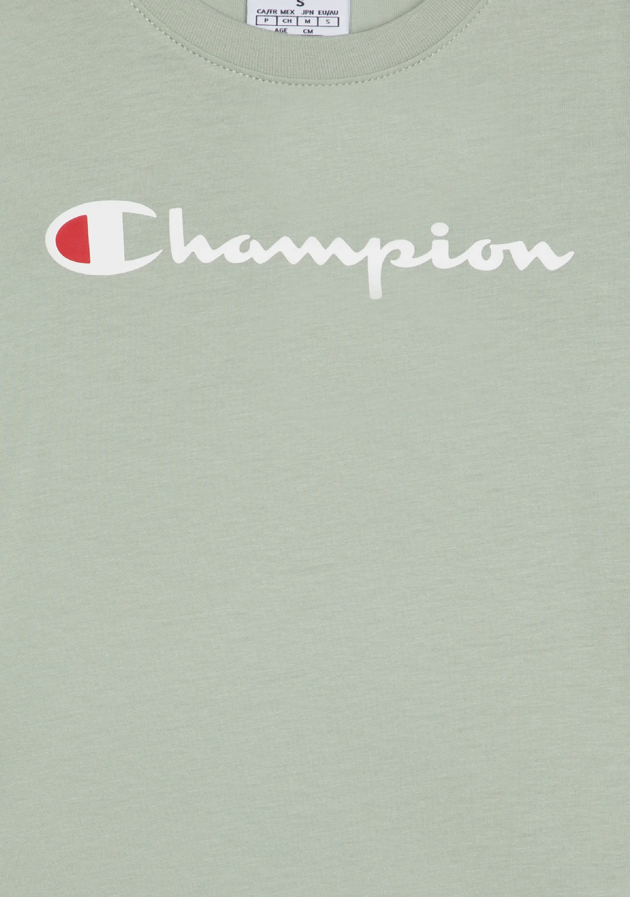 Champion Men's Script Logo Short Sleeve Clever Sage