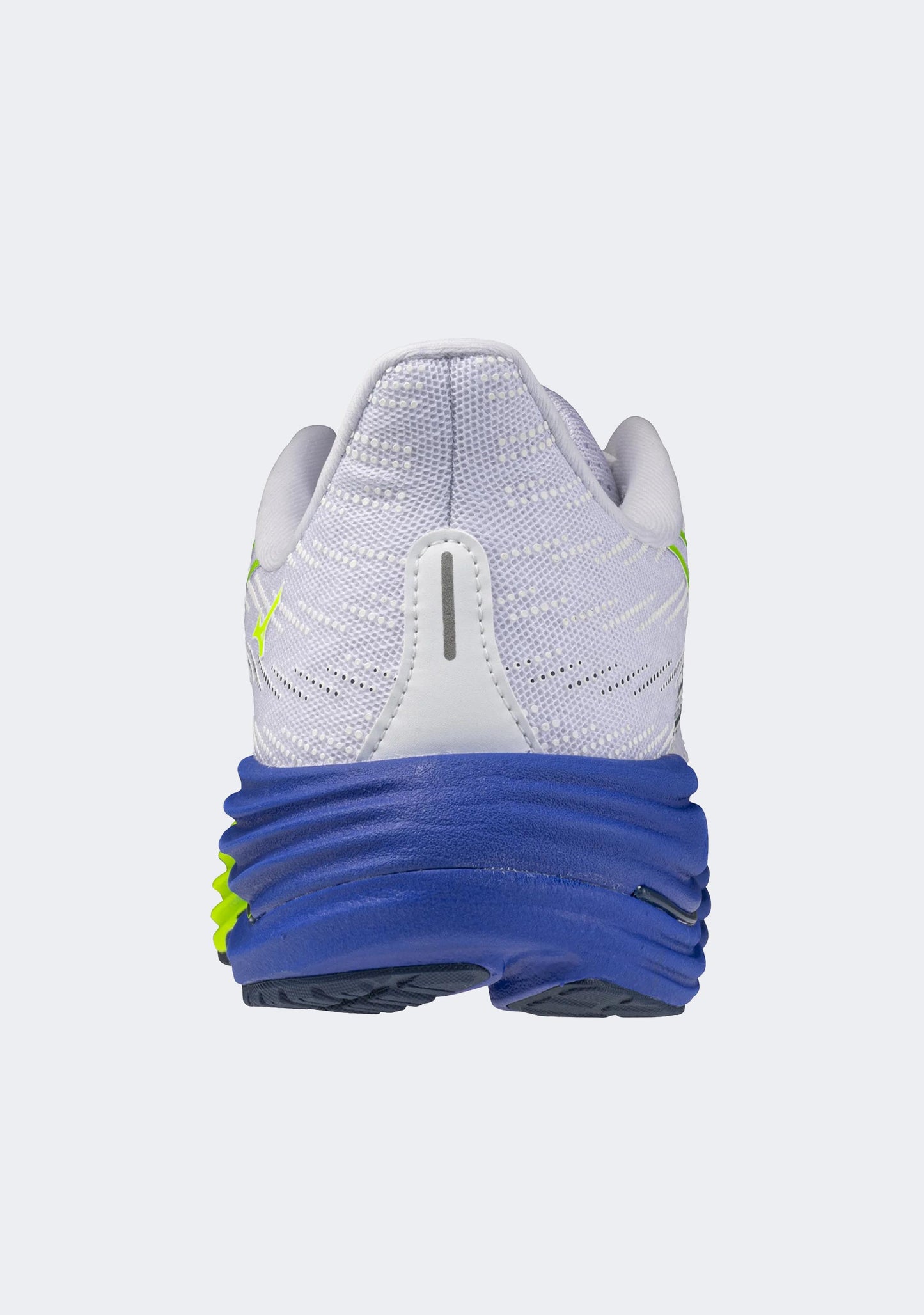Mizuno Men's Wave Rider 29