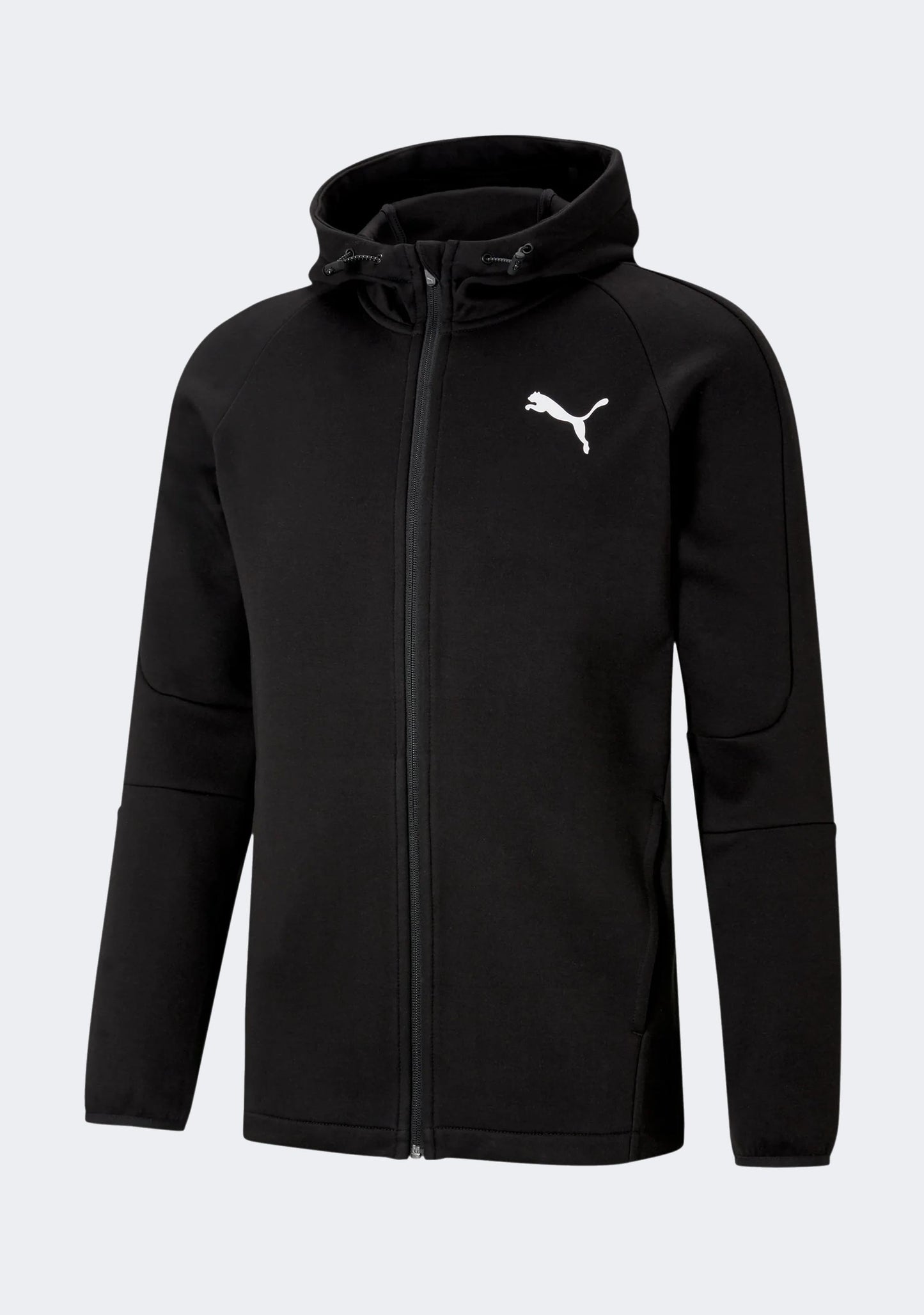 Puma Men's EVO Stripe Core Full Zip Hoodie Black