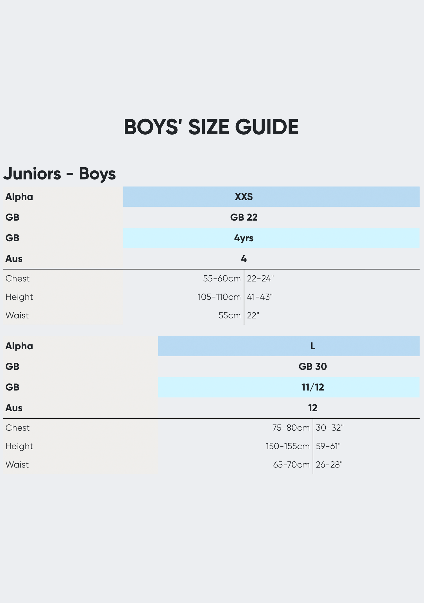 Speedo Boys Endurance Logo Aqua Short