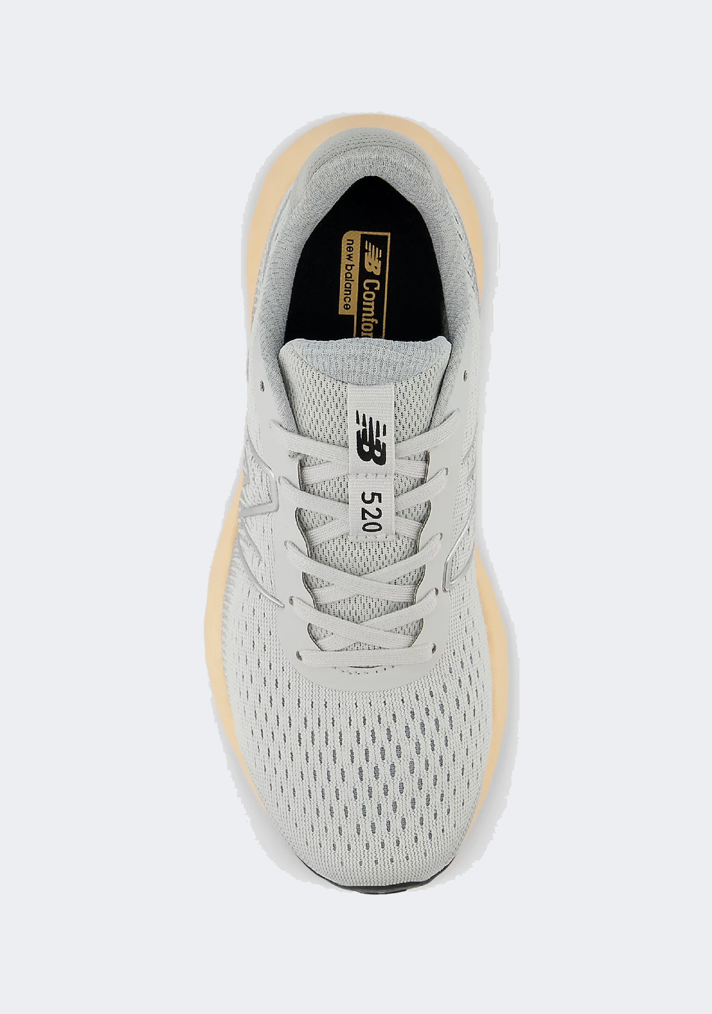 New Balance Women's 520v8 (D Width)