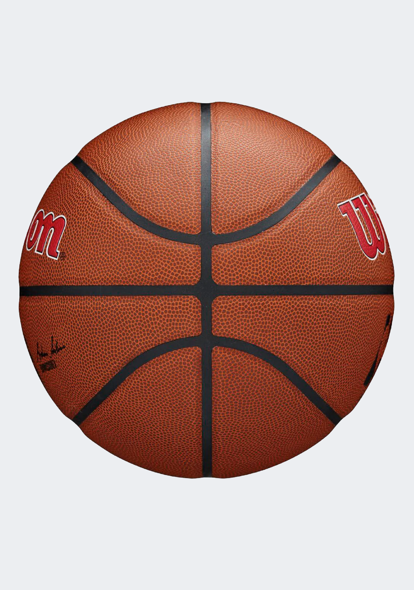 Wilson NBA Team Alliance Basketball Toronto Raptors