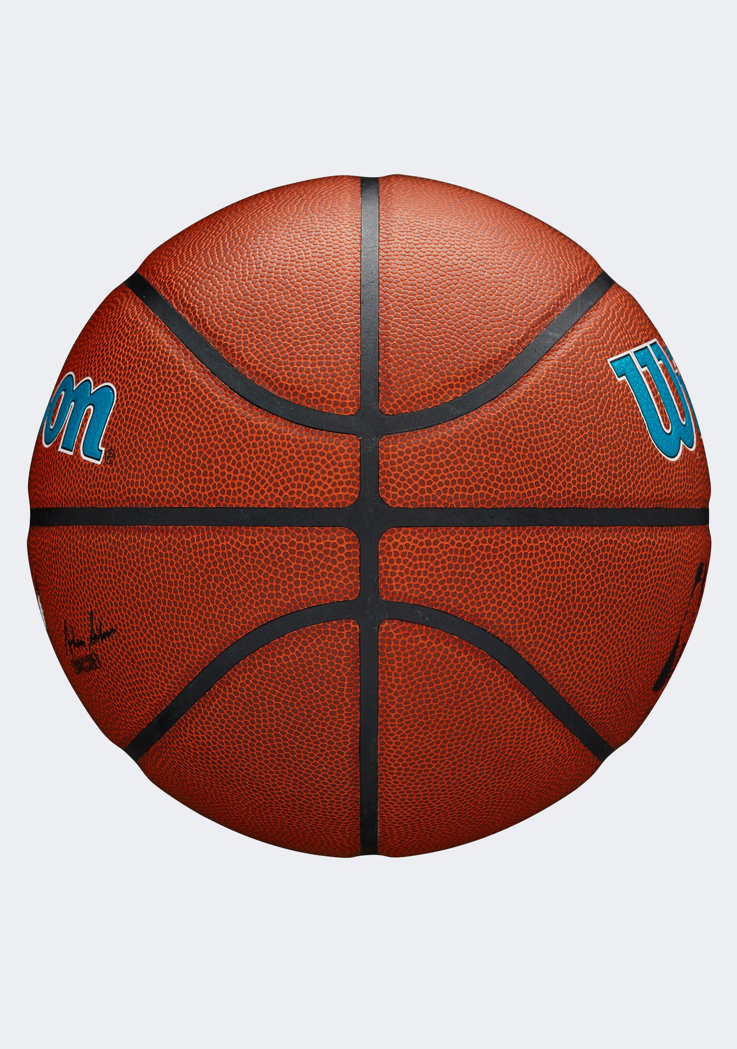 Wilson NBA Team Alliance Charlotte Hornets