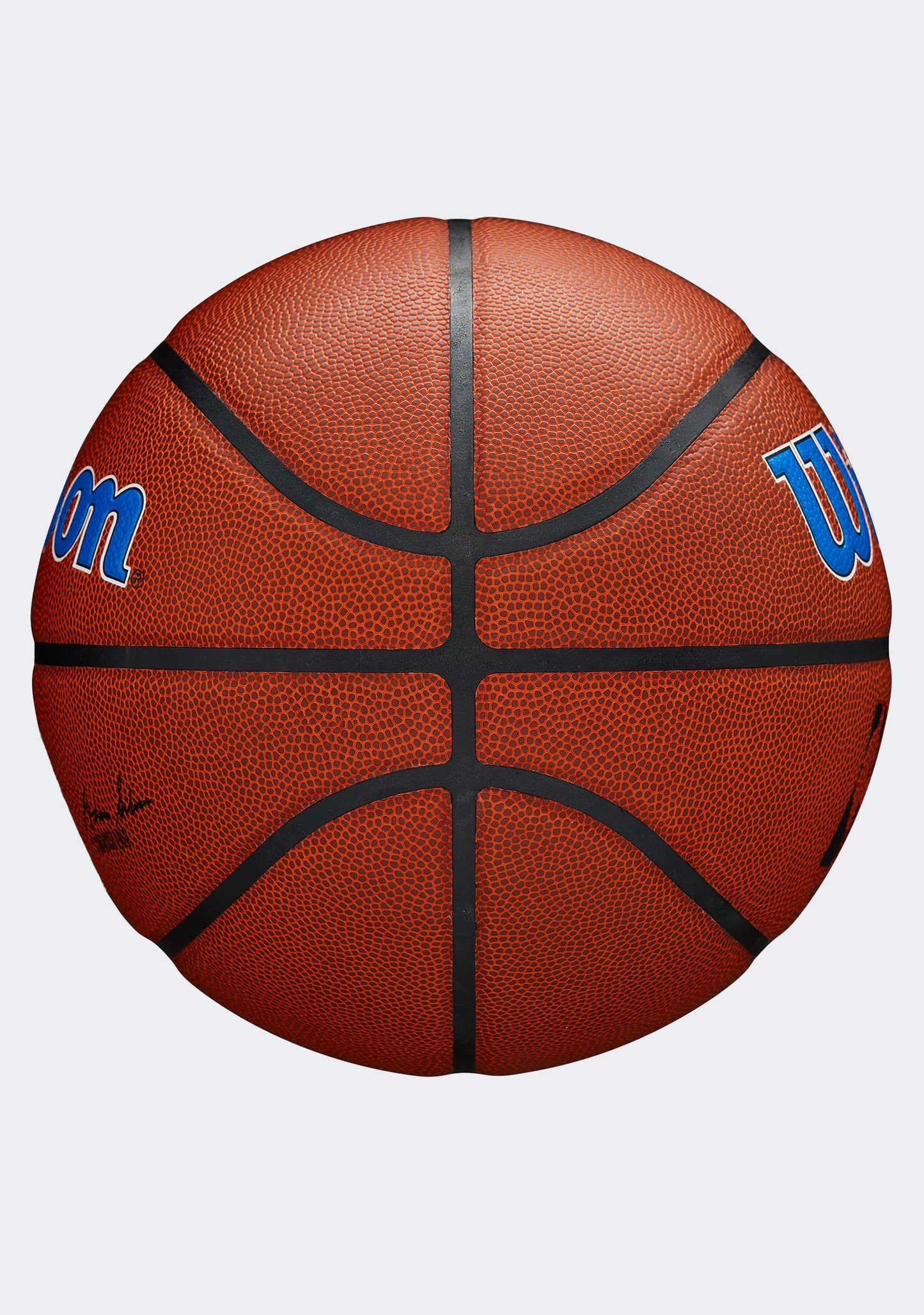 Wilson NBA Team Alliance Basketball Philadelphia 76ers