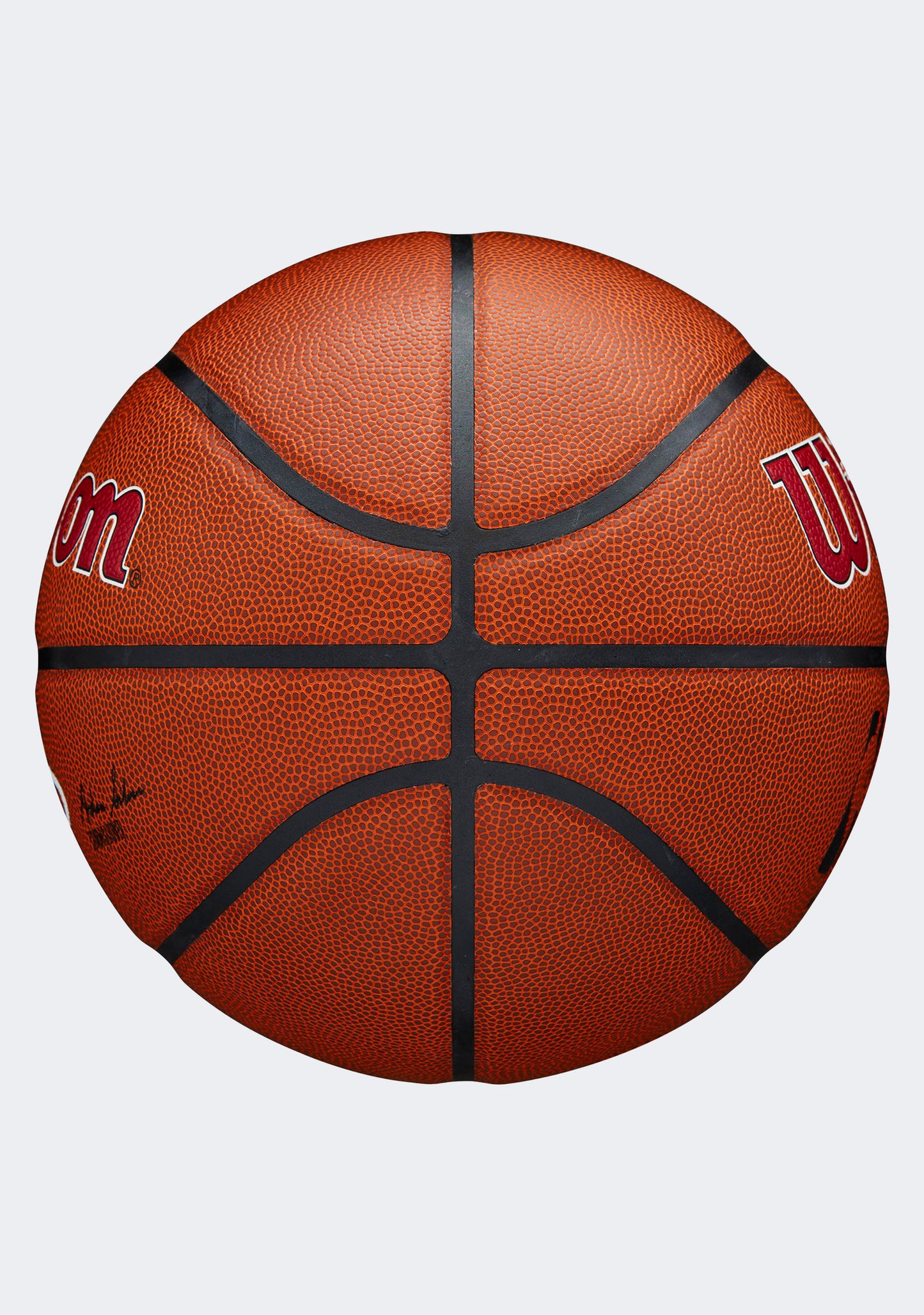 Wilson NBA Team Alliance Miami Heat