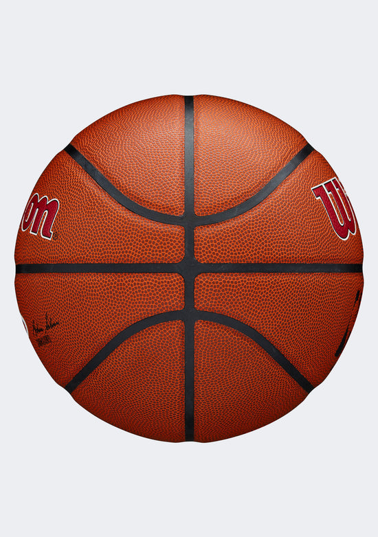 Wilson NBA Team Alliance Miami Heat