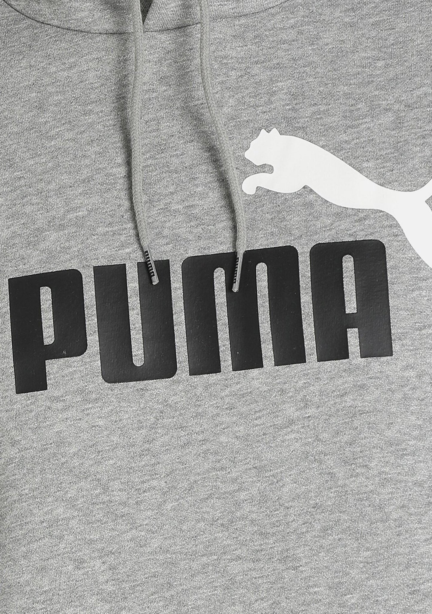 Puma Men's Essentials+ Two-Tone Big Logo Hoodie