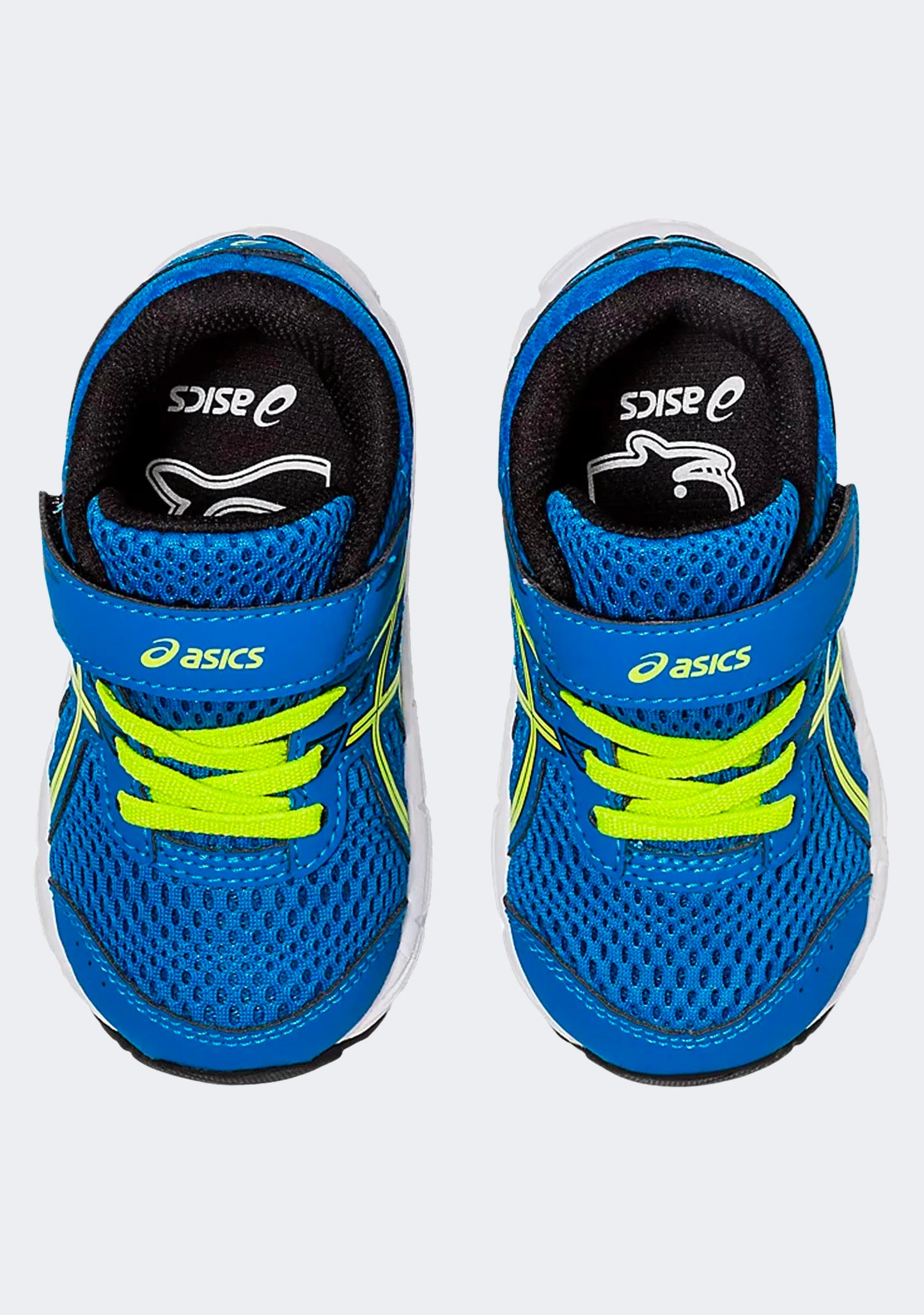 Asics Toddler Contend 6 TS