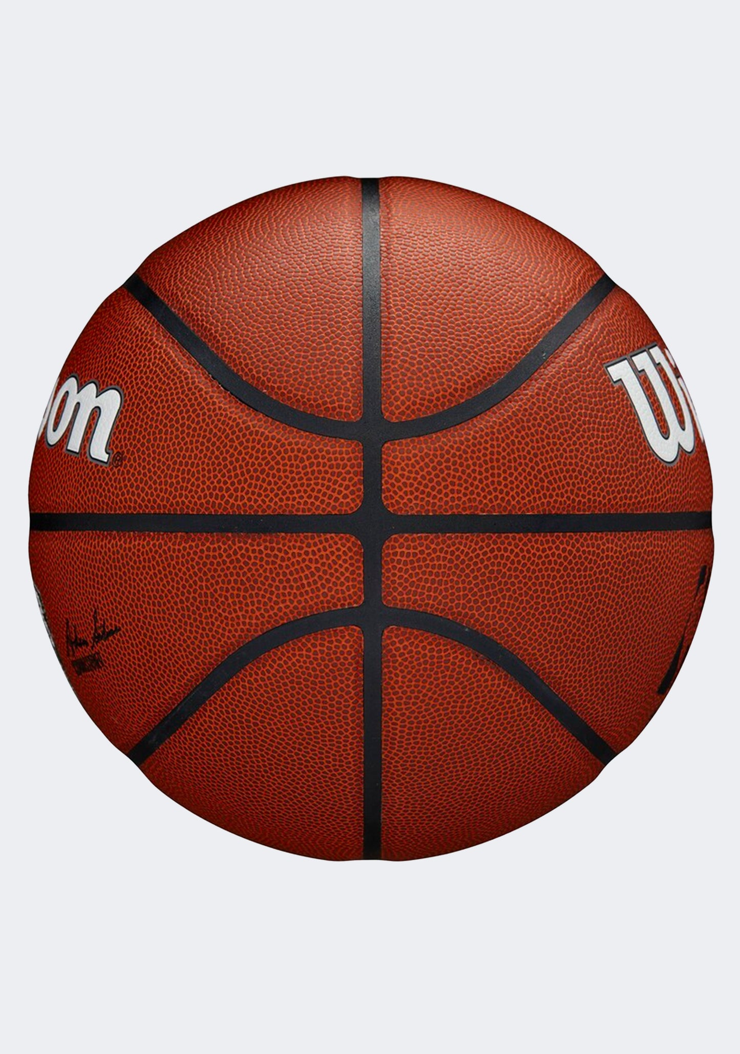 Wilson NBA Team Alliance Brooklyn Nets With Free Wilson NBA Retro Mini Brooklyn Nets