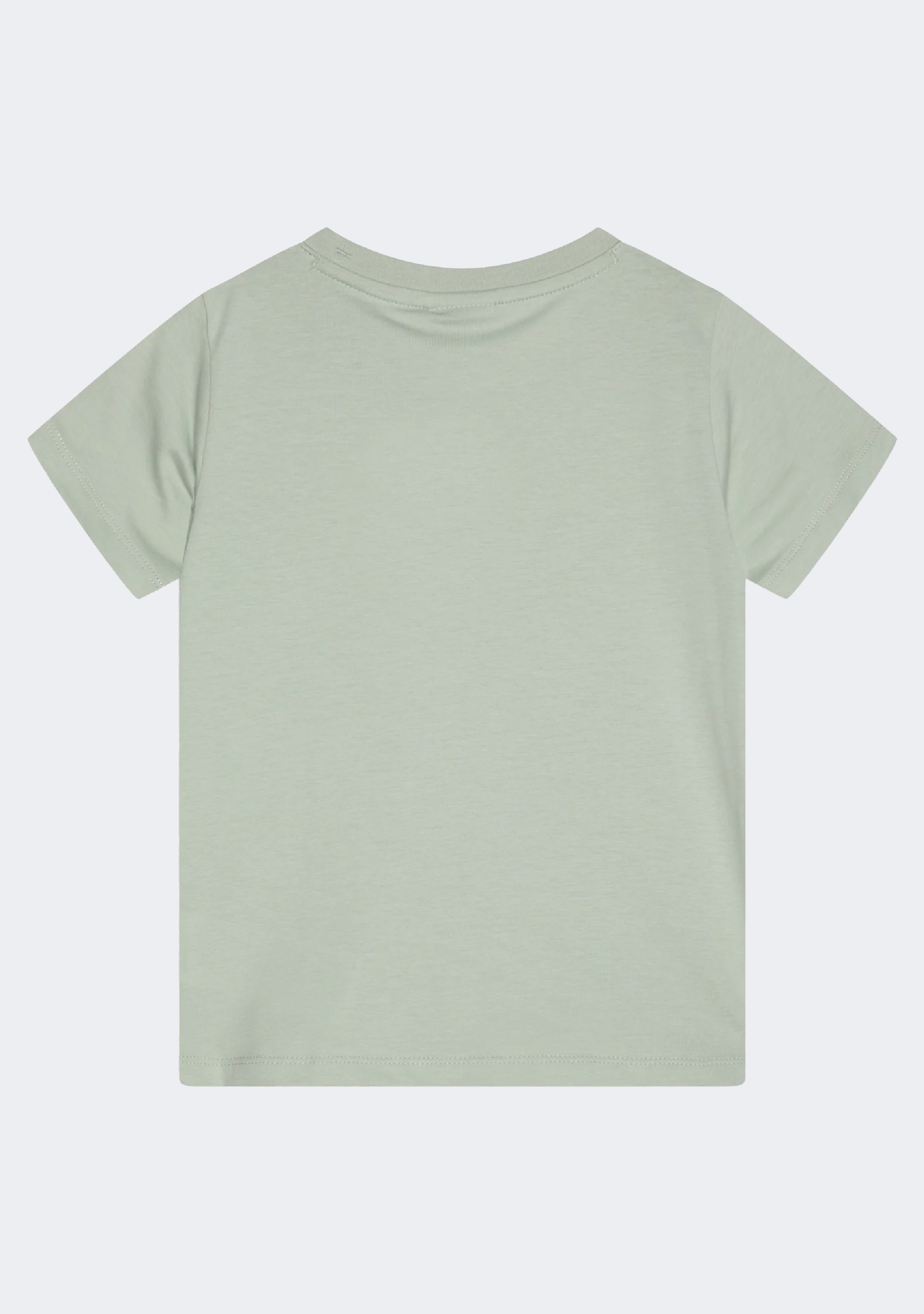 Champion Men's Script Logo Short Sleeve Clever Sage